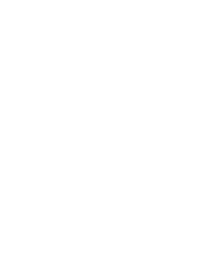 Logo Pitrium Online Kurse weiß transparenter Hintergrund 720 × 887